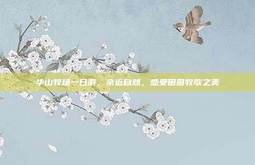 华山牧场一日游，亲近自然，感受田园牧歌之美