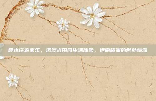 静水庄农家乐，沉浸式田园生活体验，远离喧嚣的世外桃源