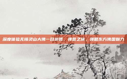 深度体验无锡灵山大佛一日游团，禅意之旅，领略东方佛国魅力