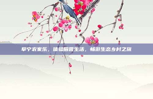 阜宁农家乐，体验田园生活，畅游生态乡村之旅