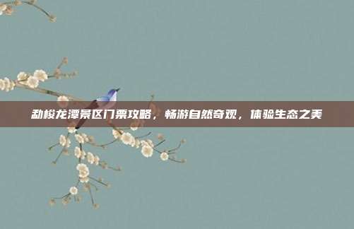 勐梭龙潭景区门票攻略，畅游自然奇观，体验生态之美