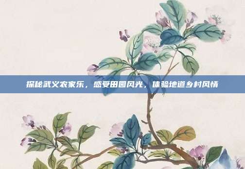 探秘武义农家乐，感受田园风光，体验地道乡村风情