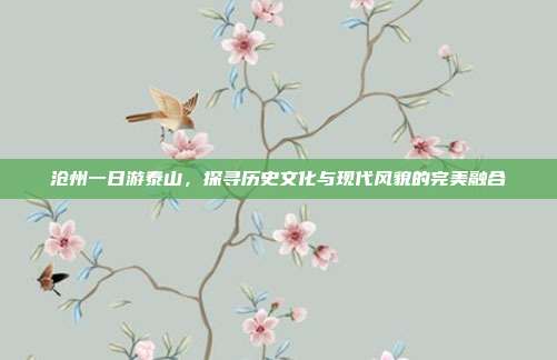 沧州一日游泰山，探寻历史文化与现代风貌的完美融合