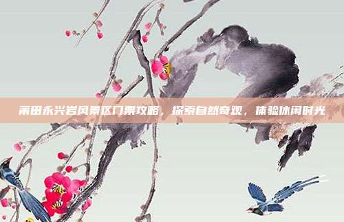 莆田永兴岩风景区门票攻略，探索自然奇观，体验休闲时光