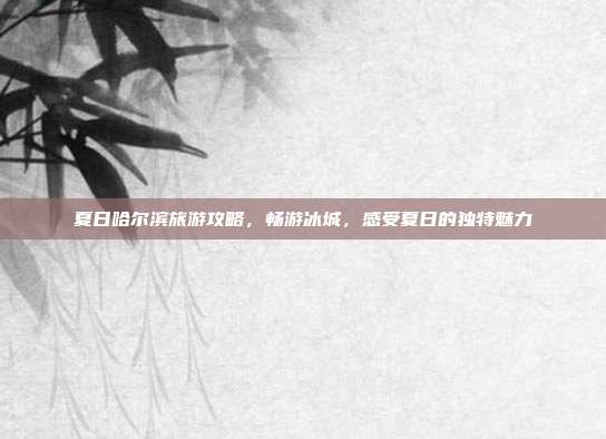 夏日哈尔滨旅游攻略，畅游冰城，感受夏日的独特魅力