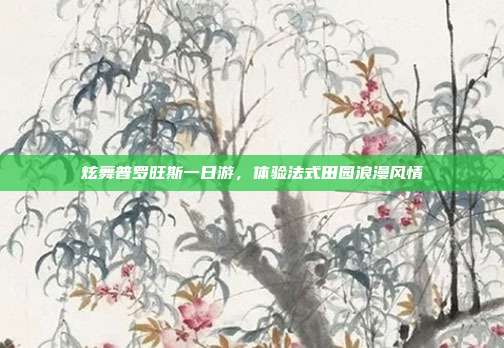 炫舞普罗旺斯一日游，体验法式田园浪漫风情