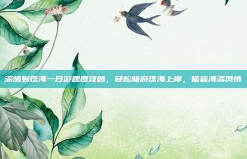 深圳到珠海一日游跟团攻略，轻松畅游珠海上岸，体验海滨风情