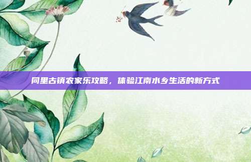 同里古镇农家乐攻略，体验江南水乡生活的新方式