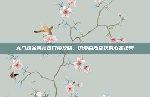 龙门峡谷风景区门票攻略，探索自然奇观的必备指南