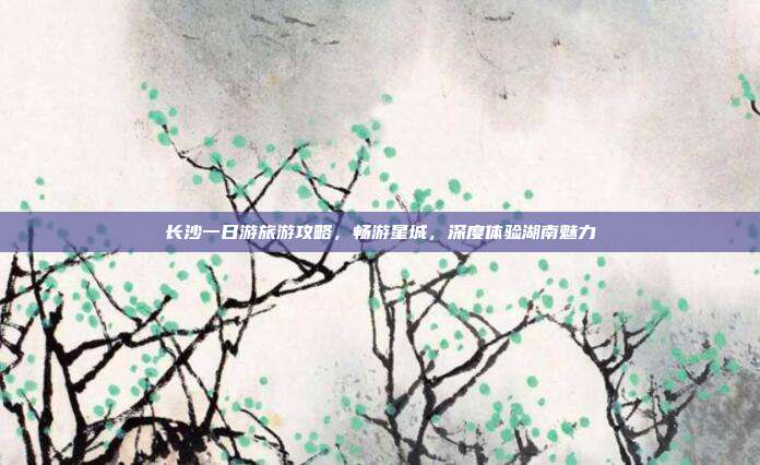 长沙一日游旅游攻略，畅游星城，深度体验湖南魅力