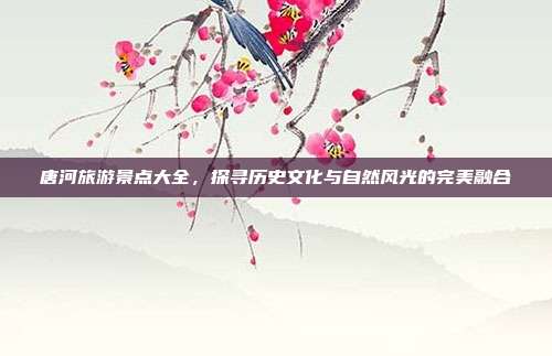 唐河旅游景点大全，探寻历史文化与自然风光的完美融合