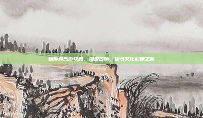 杨柳青旅游攻略，漫步古镇，探寻文化韵味之旅