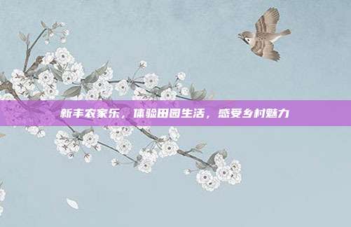 新丰农家乐，体验田园生活，感受乡村魅力