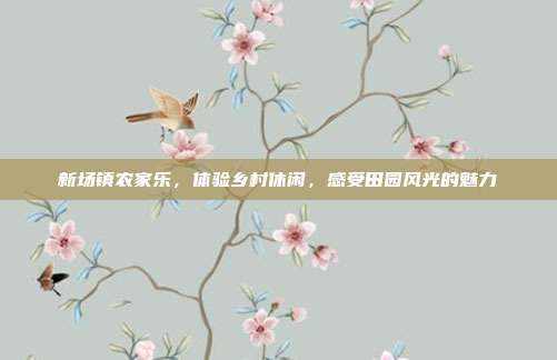 新场镇农家乐，体验乡村休闲，感受田园风光的魅力
