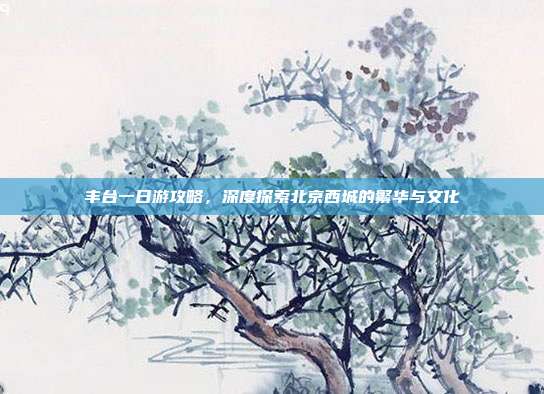 丰台一日游攻略，深度探索北京西城的繁华与文化
