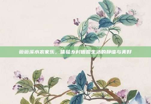 薇薇溪水农家乐，体验乡村田园生活的静谧与美好