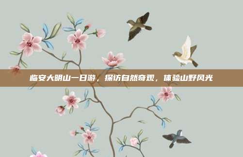临安大明山一日游，探访自然奇观，体验山野风光