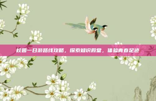 校园一日游路线攻略，探索知识殿堂，体验青春足迹