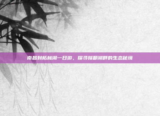 南昌到柘林湖一日游，探寻赣鄱湖畔的生态秘境