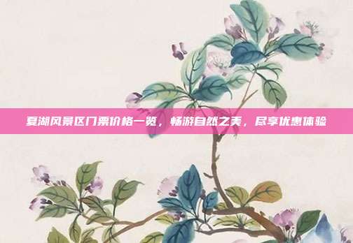夏湖风景区门票价格一览，畅游自然之美，尽享优惠体验