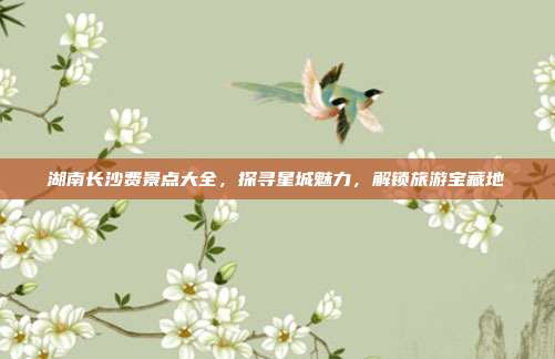湖南长沙费景点大全，探寻星城魅力，解锁旅游宝藏地