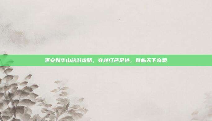 延安到华山旅游攻略，穿越红色足迹，登临天下奇观