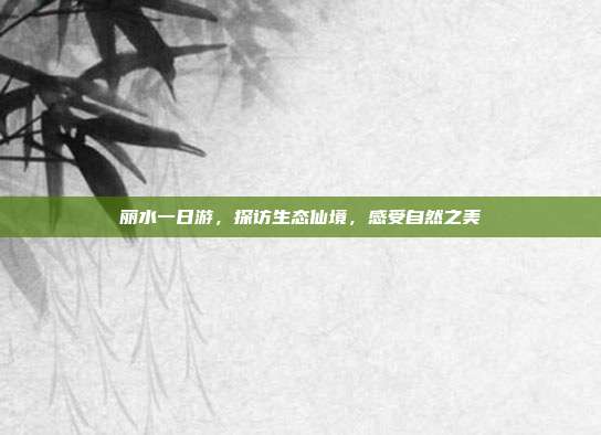 丽水一日游，探访生态仙境，感受自然之美