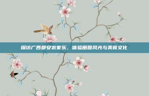 探访广西都安农家乐，体验田园风光与美食文化