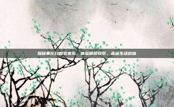 探秘奉化白鹤农家乐，体验田园牧歌，品味生活韵味