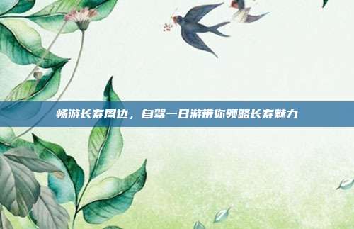 畅游长寿周边，自驾一日游带你领略长寿魅力