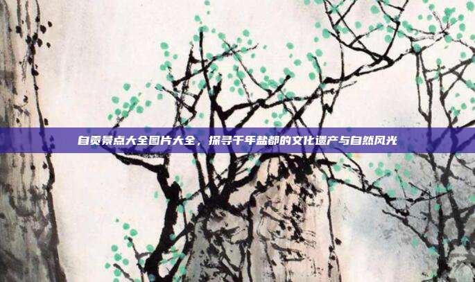 自贡景点大全图片大全，探寻千年盐都的文化遗产与自然风光