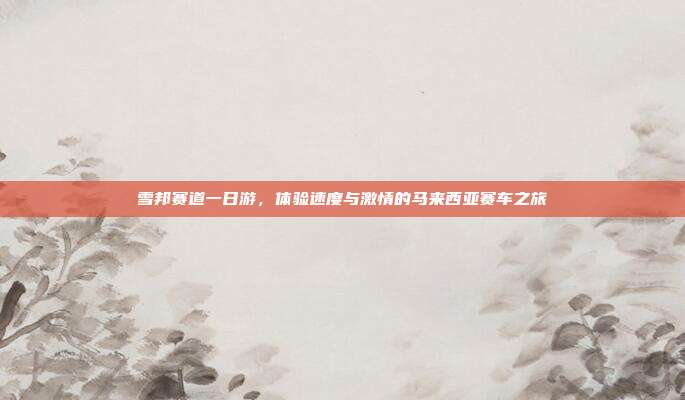 雪邦赛道一日游，体验速度与激情的马来西亚赛车之旅
