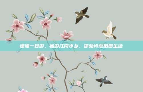溱潼一日游，畅游江南水乡，体验诗意田园生活