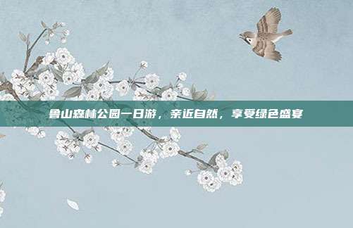 鲁山森林公园一日游，亲近自然，享受绿色盛宴