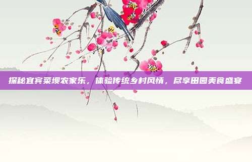 探秘宜宾菜坝农家乐，体验传统乡村风情，尽享田园美食盛宴