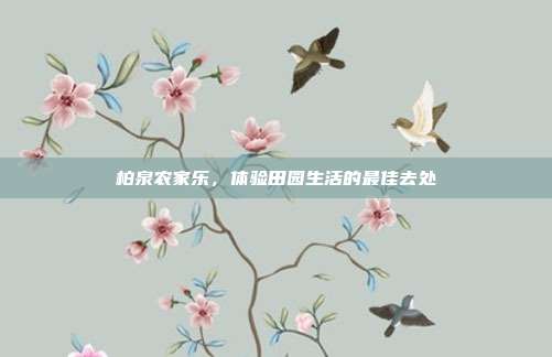 柏泉农家乐，体验田园生活的最佳去处