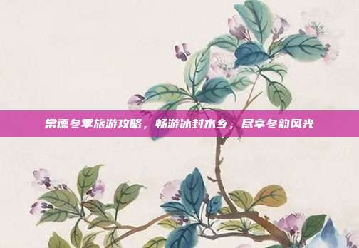 常德冬季旅游攻略，畅游冰封水乡，尽享冬韵风光