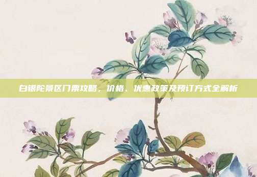 白银陀景区门票攻略，价格、优惠政策及预订方式全解析