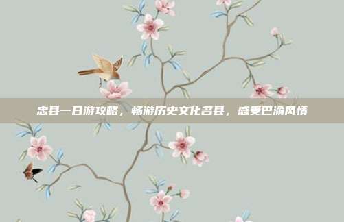 忠县一日游攻略，畅游历史文化名县，感受巴渝风情