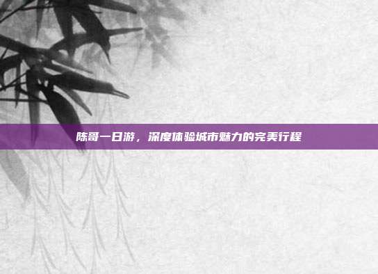 陈哥一日游，深度体验城市魅力的完美行程