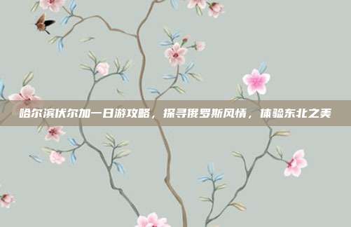 哈尔滨伏尔加一日游攻略，探寻俄罗斯风情，体验东北之美