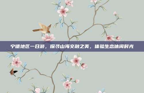 宁德地区一日游，探寻山海交融之美，体验生态休闲时光