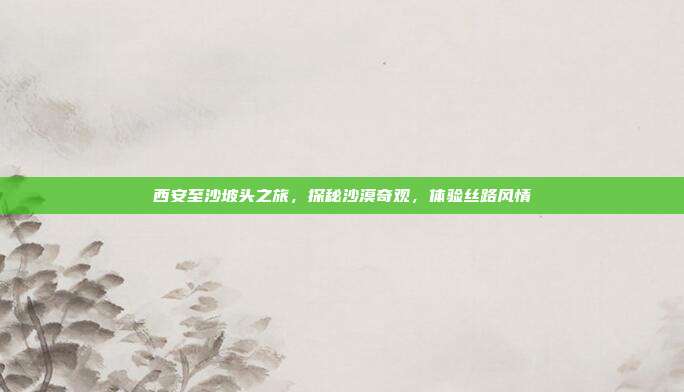 西安至沙坡头之旅，探秘沙漠奇观，体验丝路风情