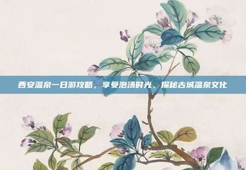 西安温泉一日游攻略，享受泡汤时光，探秘古城温泉文化