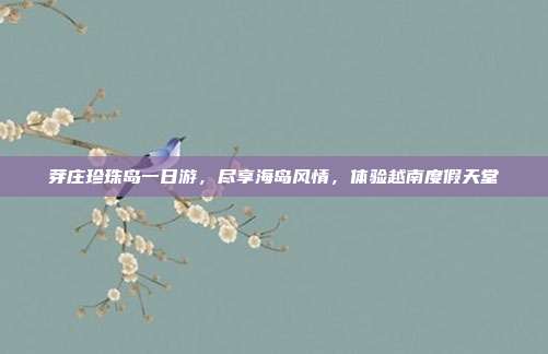 芽庄珍珠岛一日游，尽享海岛风情，体验越南度假天堂