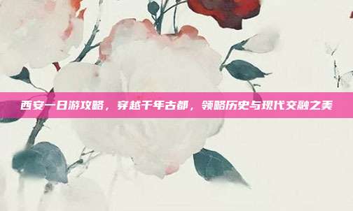 西安一日游攻略，穿越千年古都，领略历史与现代交融之美