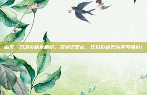 临沂一日游价格全解析，玩转沂蒙山，这份价格表你不可错过！