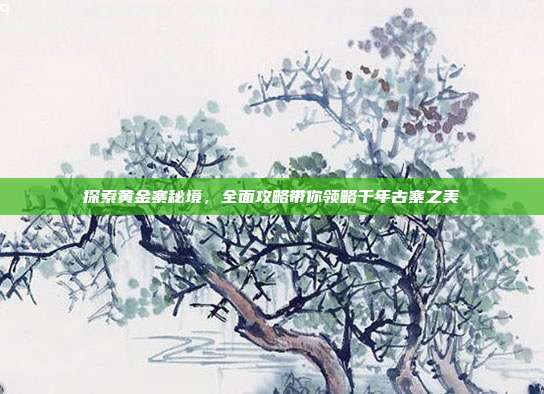 探索黄金寨秘境，全面攻略带你领略千年古寨之美