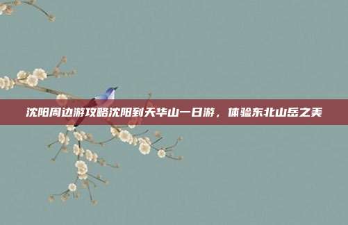 沈阳周边游攻略沈阳到天华山一日游，体验东北山岳之美