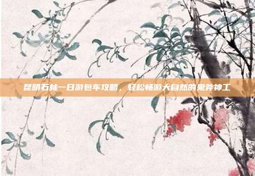 昆明石林一日游包车攻略，轻松畅游大自然的鬼斧神工